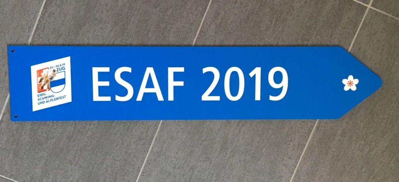 Insegne: ESAF 2019 | Wegweiser – Usato da Steinhausen venduto da Ovi27