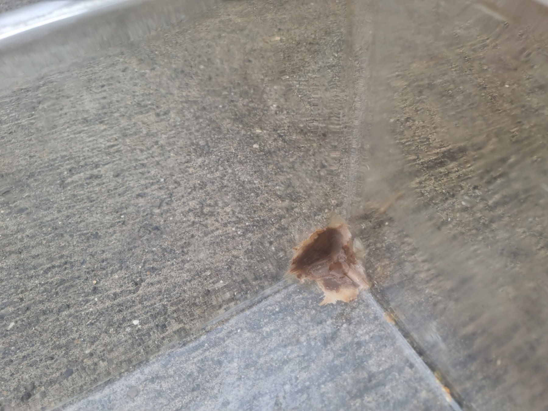 Terrario: Vivarium – Usato da Knonau venduto da yvo_py8l 2