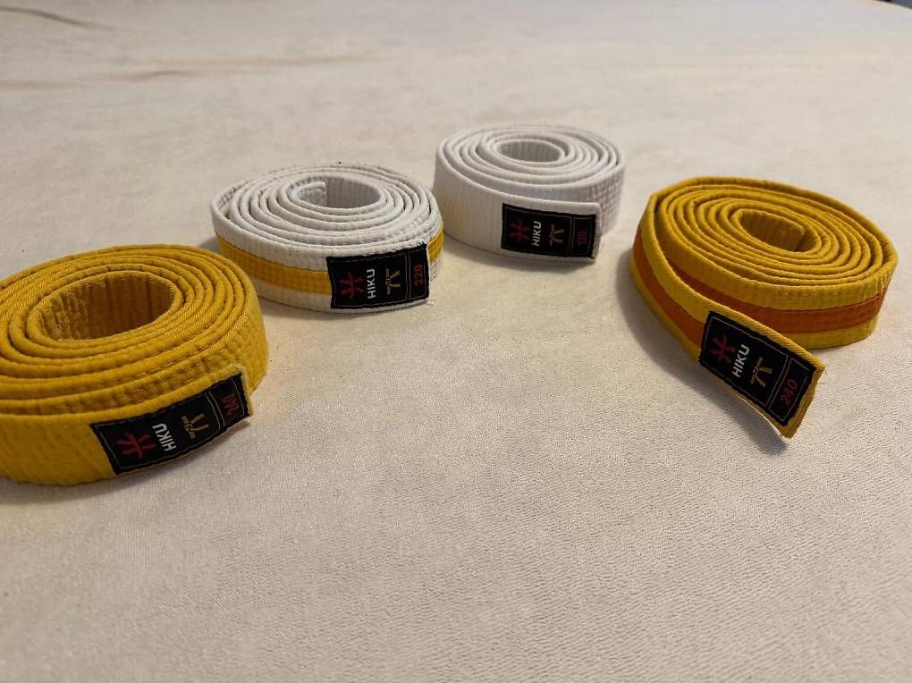 Completi: Karate-Gi/ -Trainingsanzug inkl. Gurte  – Usato da Zürich venduto da Shredmaster 1