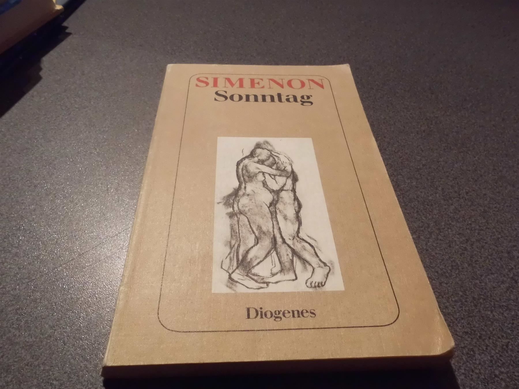 Libri: Sonntag, Georges Simenon, Roman – Usato da Zürich venduto da abraxas1291