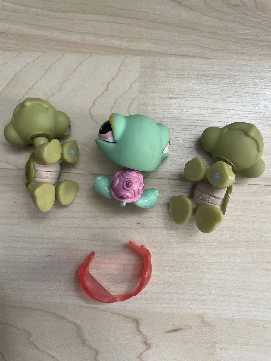 Hasbro Giocattoli: Littlest Pet Shop Turtles – Usato da Fribourg venduto da tinavon 2
