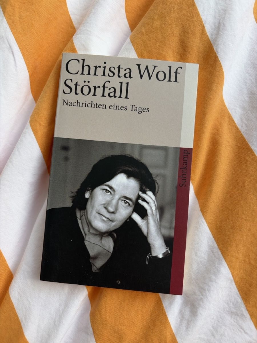 Libri: Störfall, Nachrichten eines Tages - Christa Wolf – Nuovo (secondo la descrizione) da Les Breuleux venduto da ali_ps9t