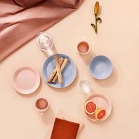 4 x Iittala Teema: puder Teller flach 26cm