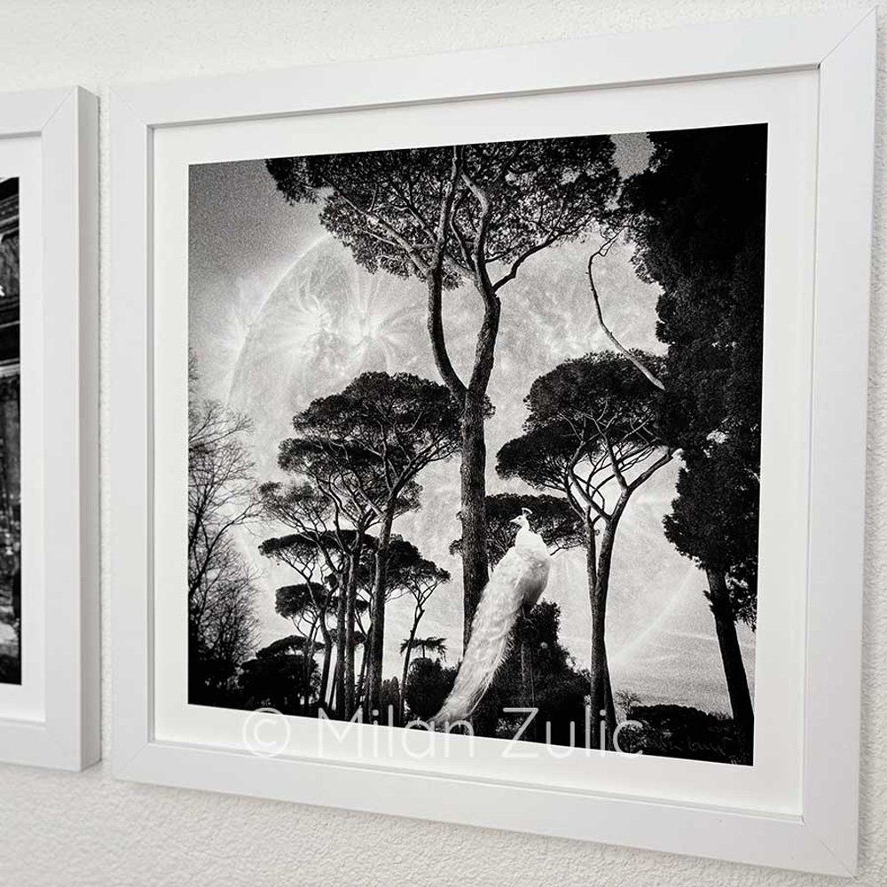 Foto & Immagini: Travel postcards 0044 – Nuovo (secondo la descrizione) da Uetikon am See venduto da mil_7k2b 1