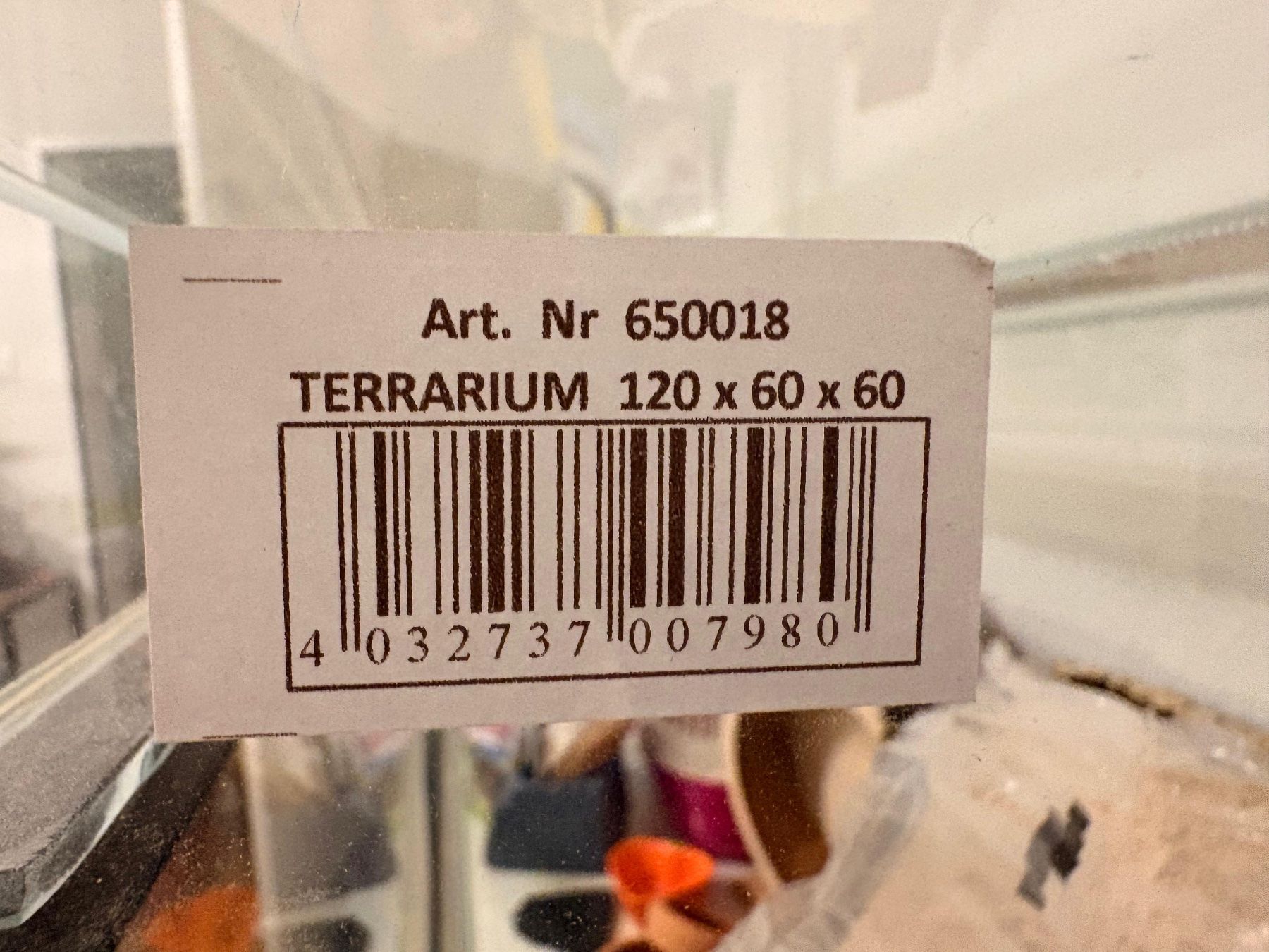 Terrario: Terrarium – Usato da Biberist venduto da Chris1307 2