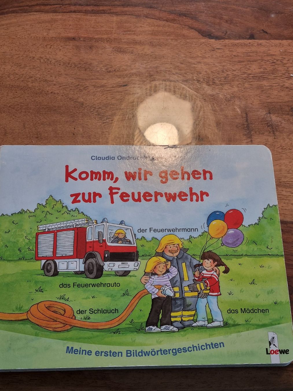 Libri: Kinderbuch Fester Karton Feuerwehr – Usato da Beckenried venduto da lou_two