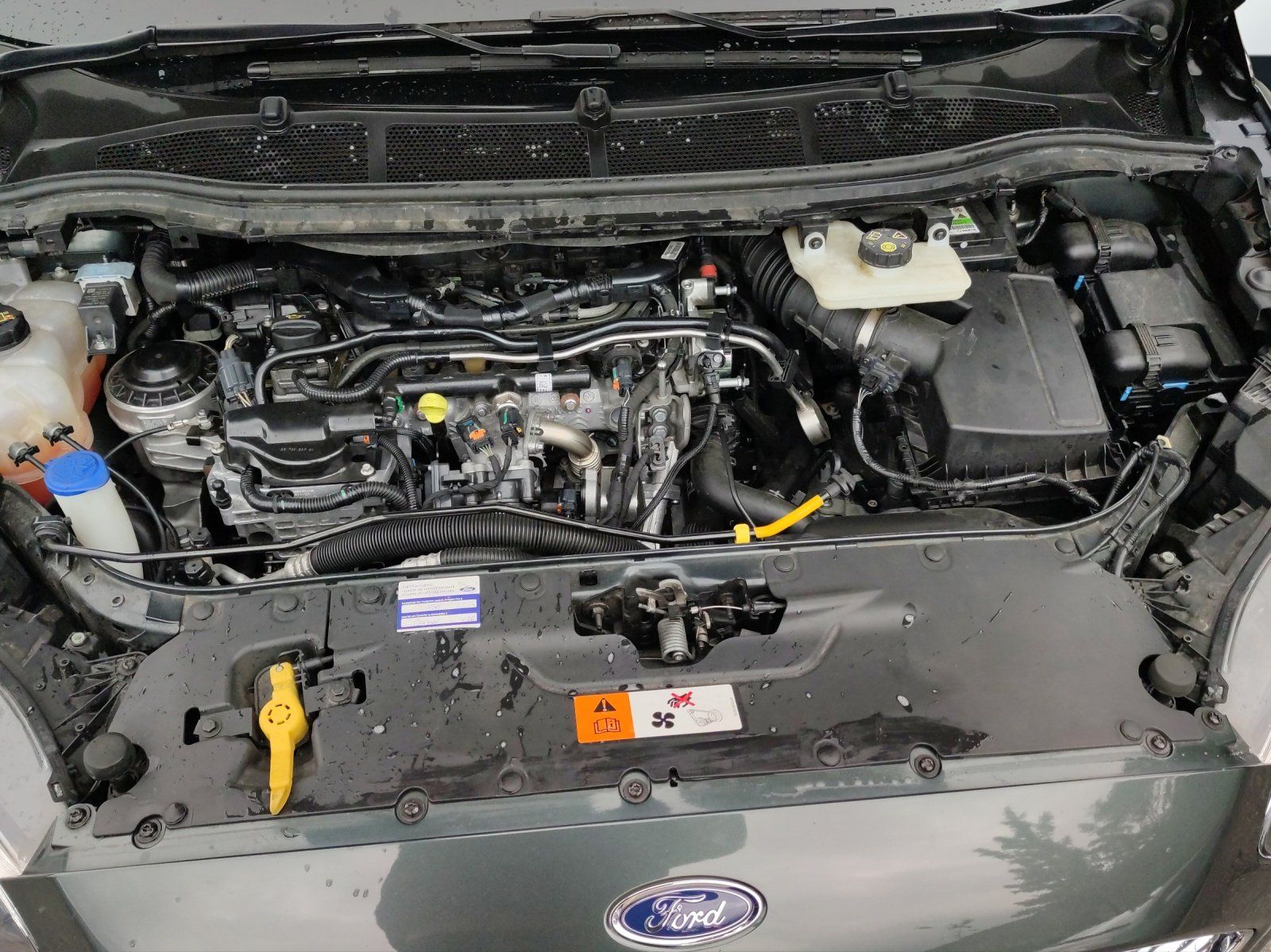 Ford Automobili: Ford S-Max 2.0 TDCi 180 Titanium FPS 4x4 / Motorproblem – Difettoso da Neuenhof venduto da Klosterrueti-Garage 4