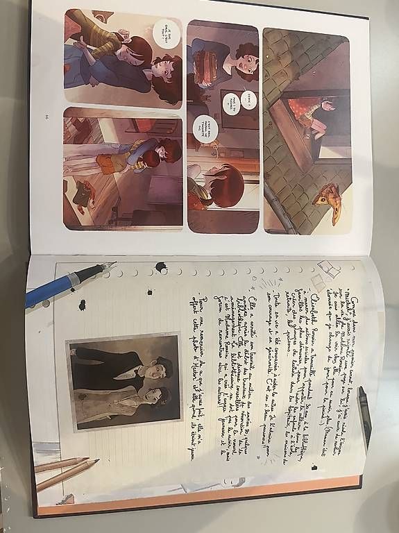 BD: Les carnets de cerise  – D'occasion à Chavannes-Renens par luc_52p8 1