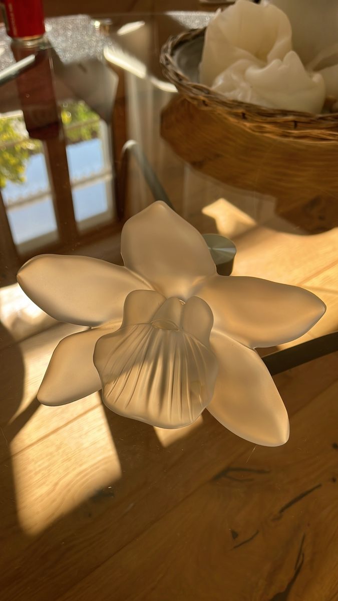 Tutte le decorazioni: Royales de Champagne Orchid – Usato da Fischenthal venduto da luc_82dg
