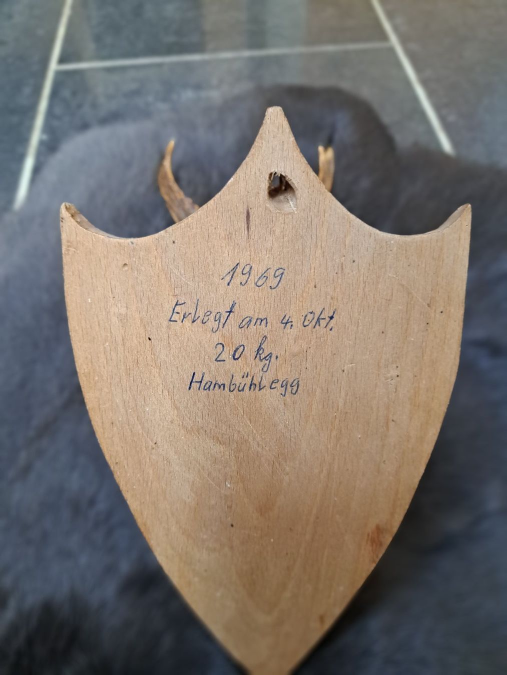 Altre raccolte & rarità: Rehbock Trophäe – Usato da Obergoldbach venduto da chr_cbp5 2