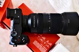 Sony a6700 + tamron 17-70 2.8+ sony 70-350+ sony 50mm macro