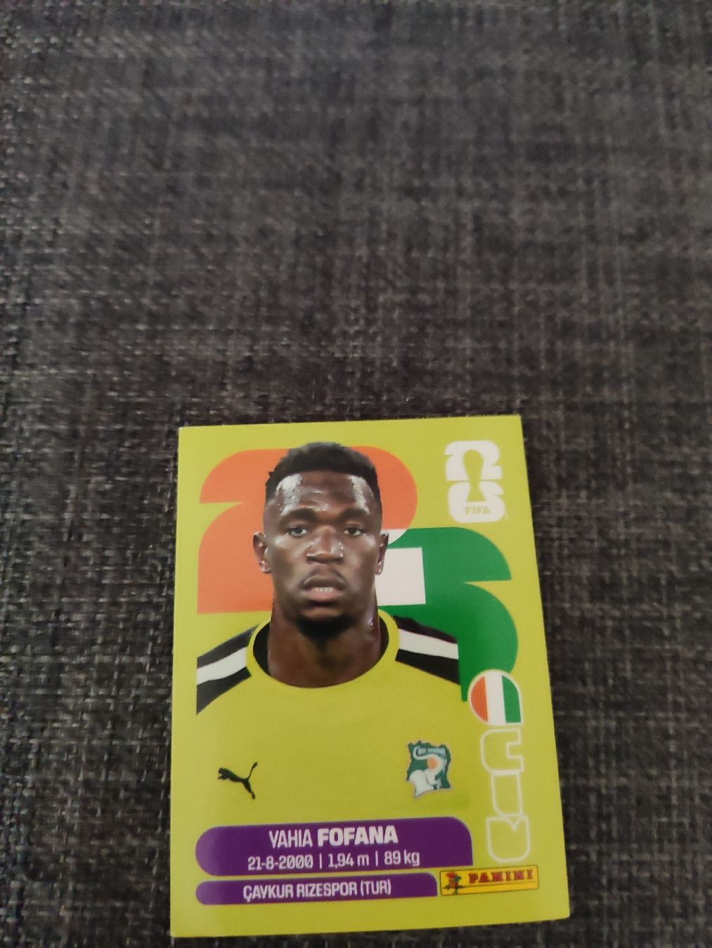 Panini Cartes à collectionner: panini CIV 2 – D'occasion à Ettenhausen TG par danielhoop
