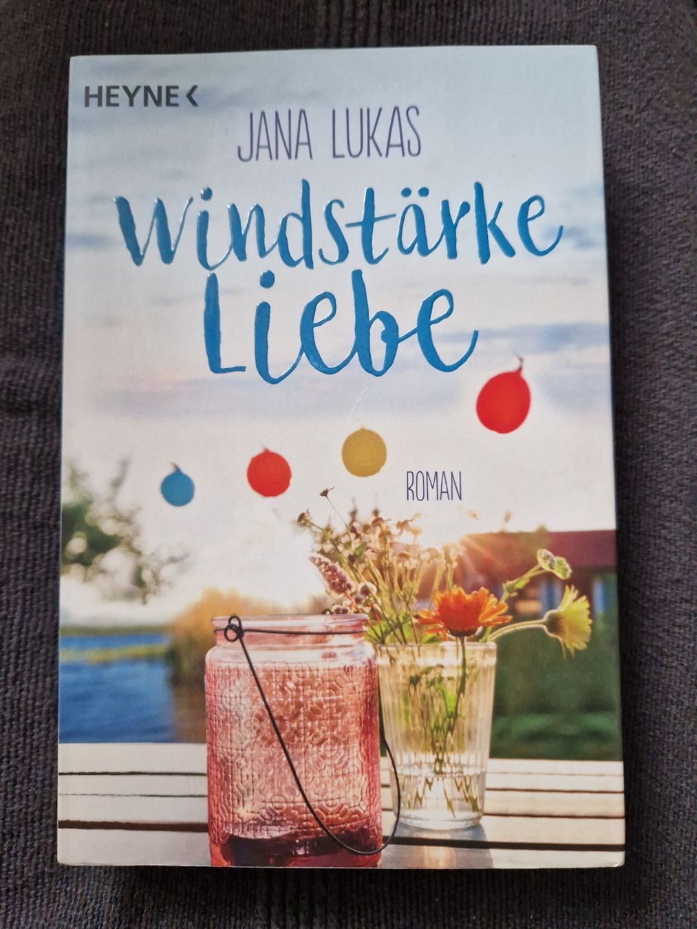 Libri: Jana Lukas Windstärke Liebe – Usato da Neuhausen am Rheinfall venduto da Alchimista