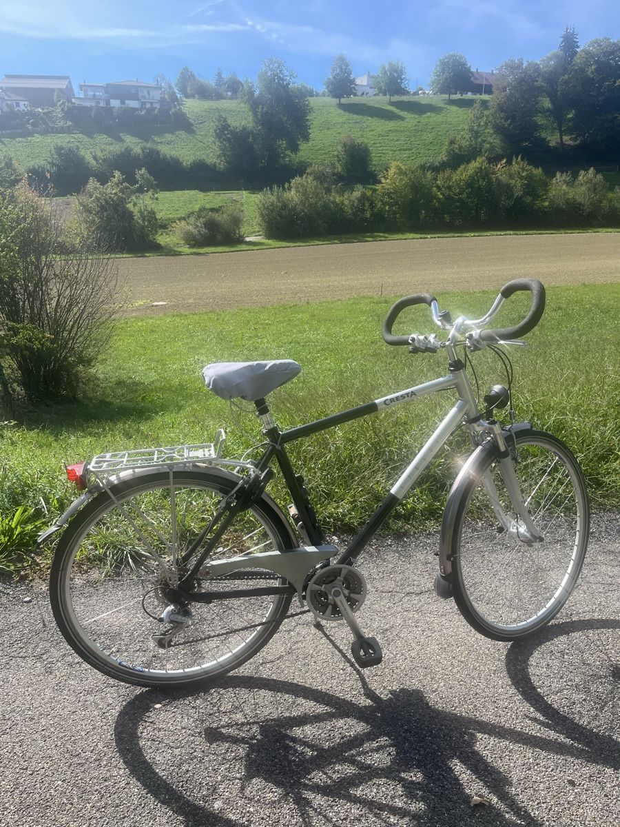 Cresta Biciclette: Cresta Herrenvelo  – Usato da UNTERKULM venduto da Dennizzz