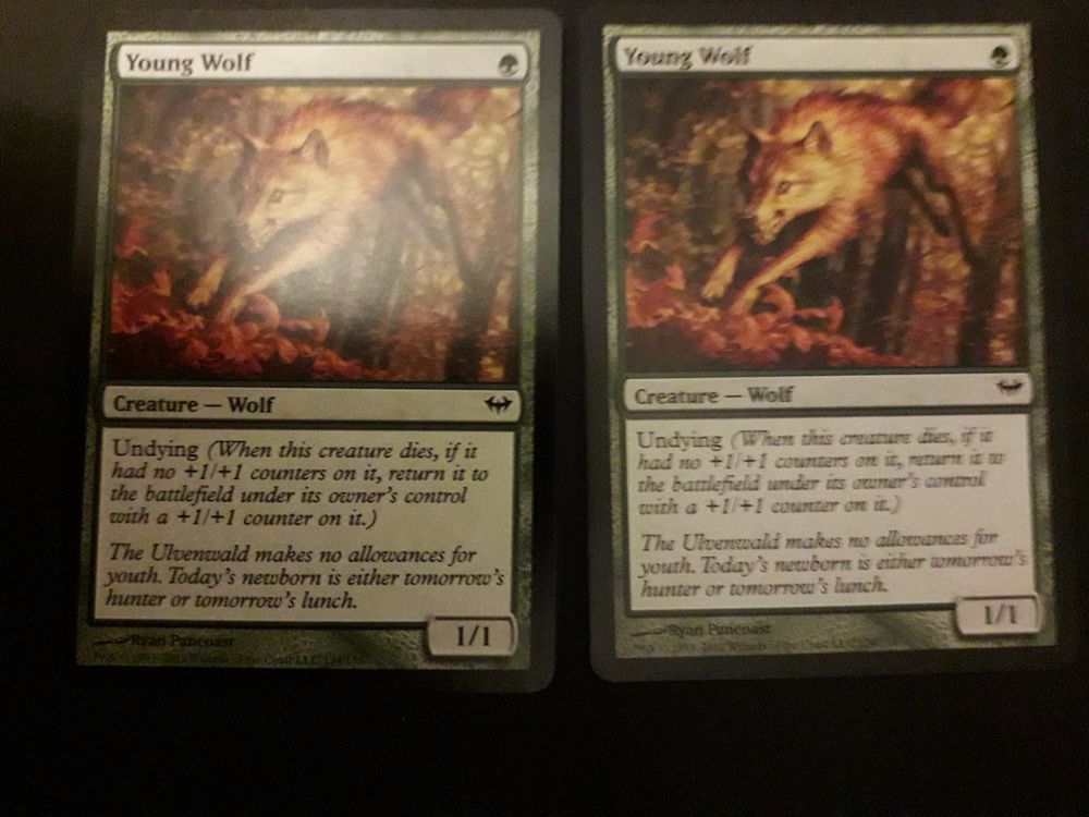 Lone Wolf Original Collectible Folding Knives MTG Magic The Gathering Dark  Ascension - 4x Young Wolf Cards, French Language, Lightly Played Condition  Final Fantasy Mtg