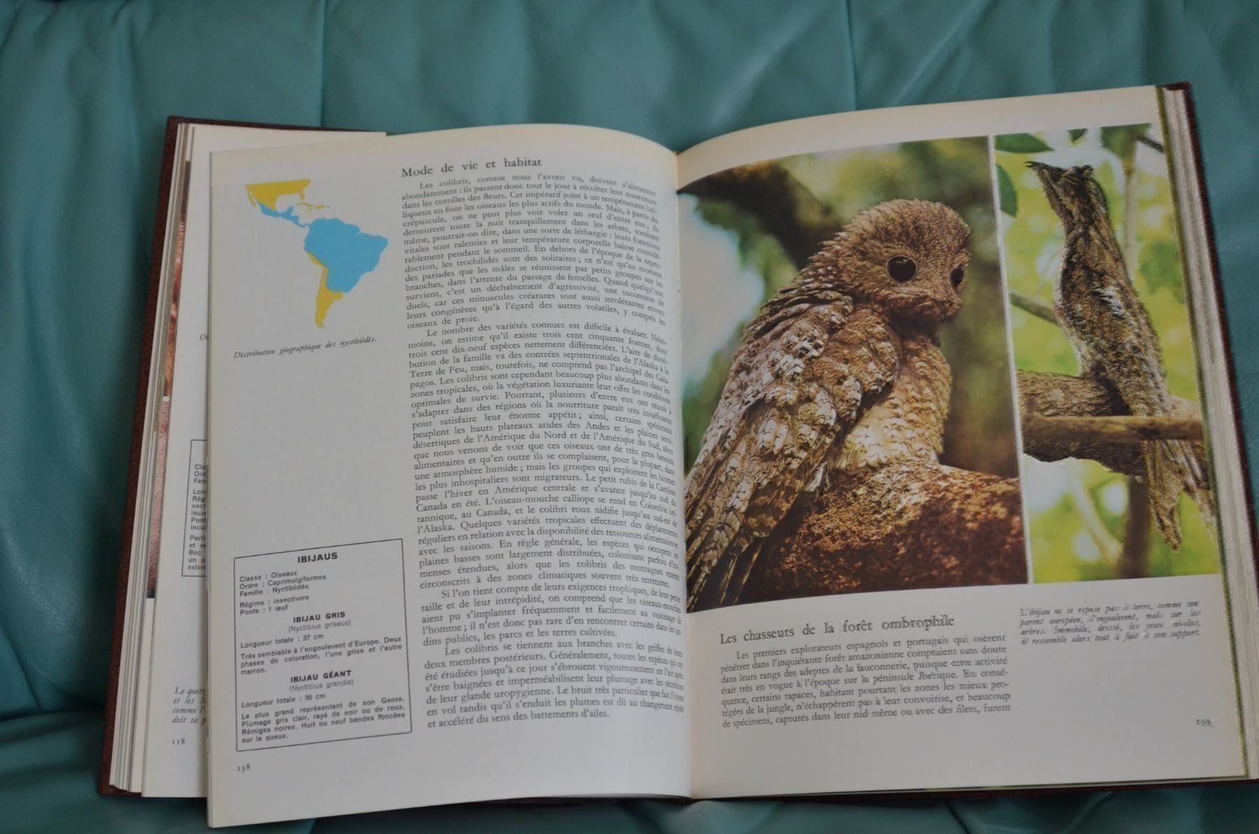 Libri: Buchserie LA FAUNE – Usato da Magden venduto da Estimbo 1