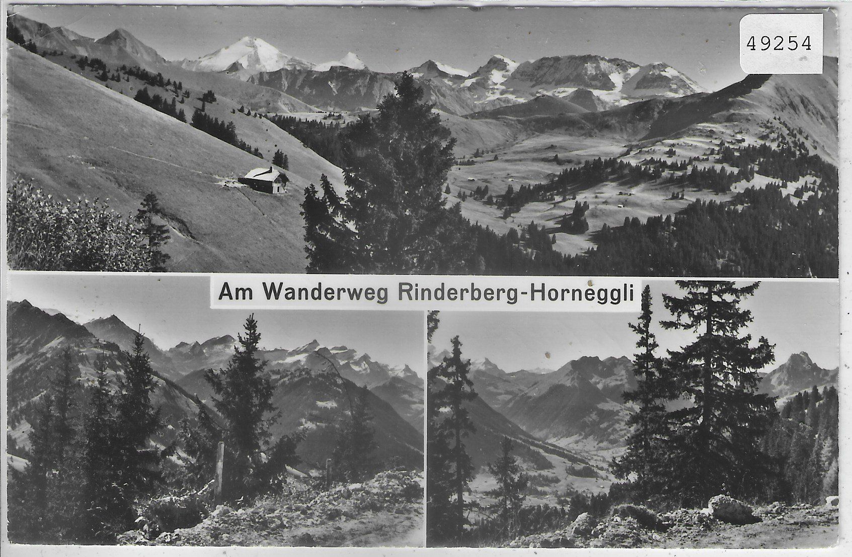 Cartoline postali: Am Wanderweg Rinderberg-Horneggli - Multiview – Usato da Ettingen venduto da Kartenplanet
