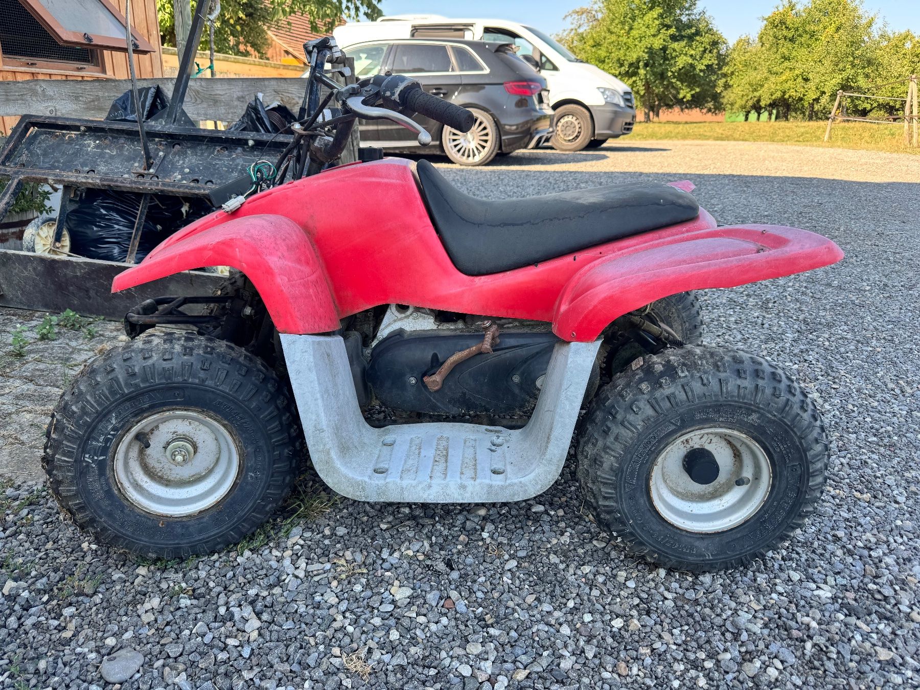 Mini Quad: Kinder Quad rot Marke Dino – Usato da Kümmertshausen venduto da zeh_9mp7