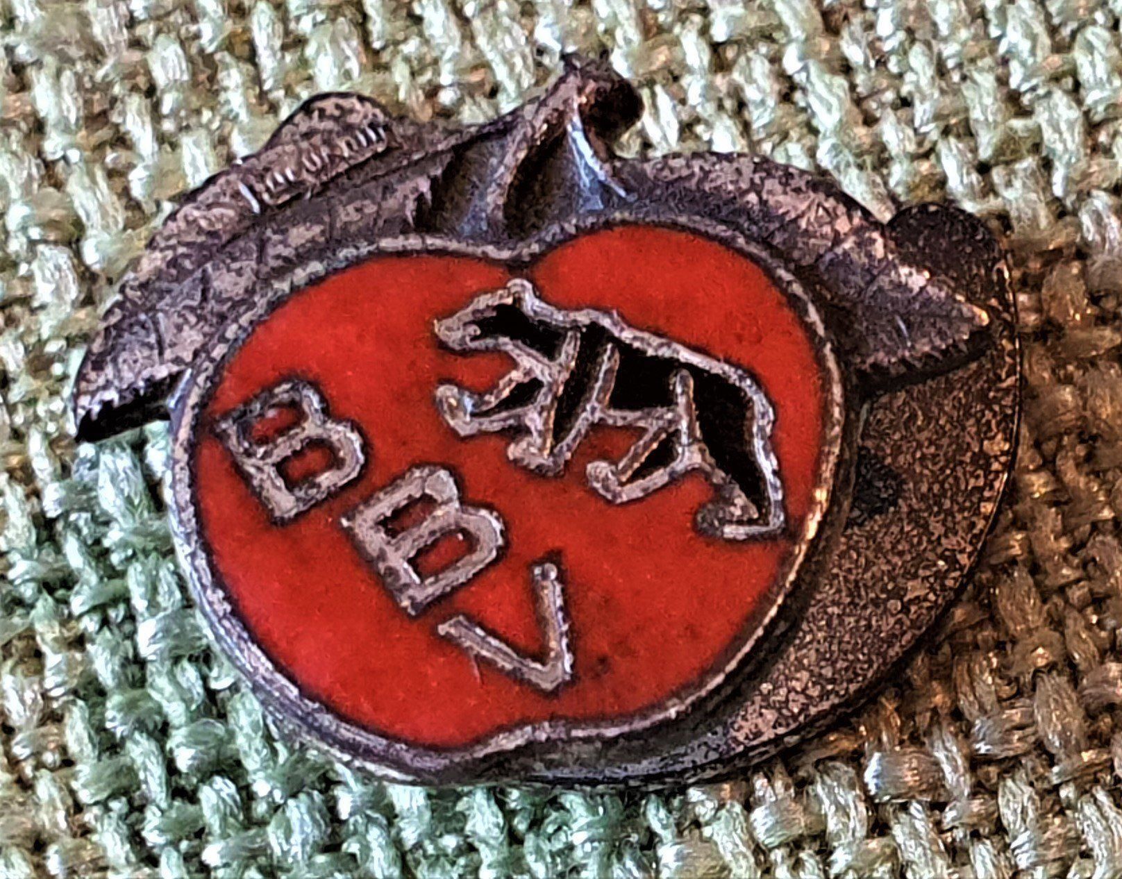 Bottoni: C835 - Revers Knopf BBV Bern Schweiz CH – Usato da Reinach BL venduto da Boston-Verkauf 1