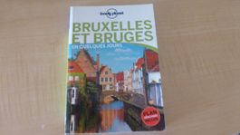 Livre Lonely Planet Bruxelles Bruges