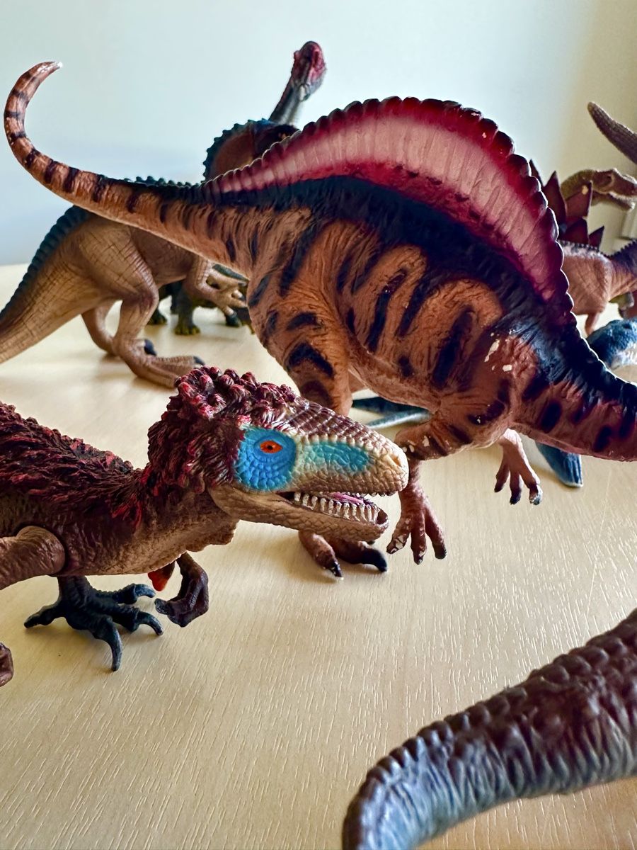 Livres: 14 Dinosaurier – D'occasion à zollikon par mme_kwf2 5