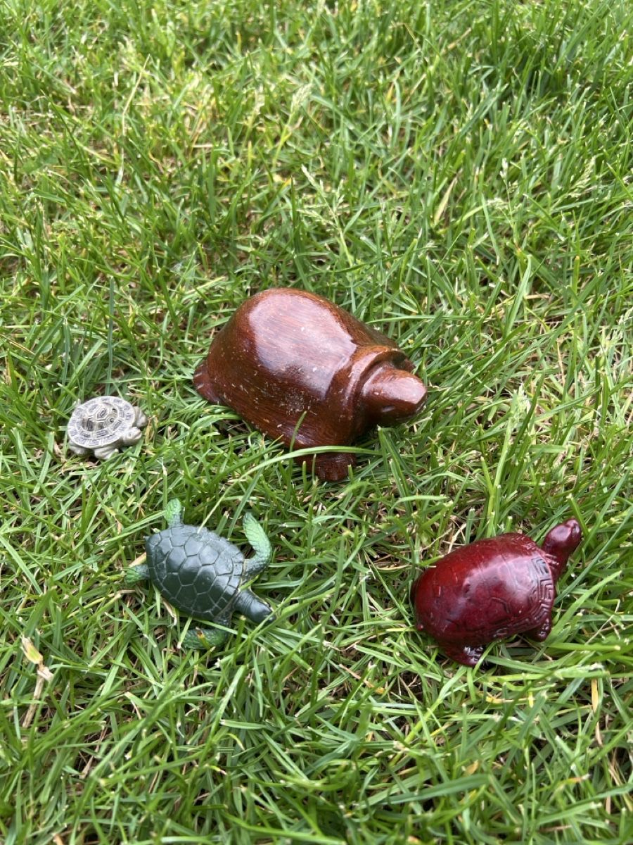 Statuette: Schildkröten Familie – Usato da Steckborn venduto da Holiday66