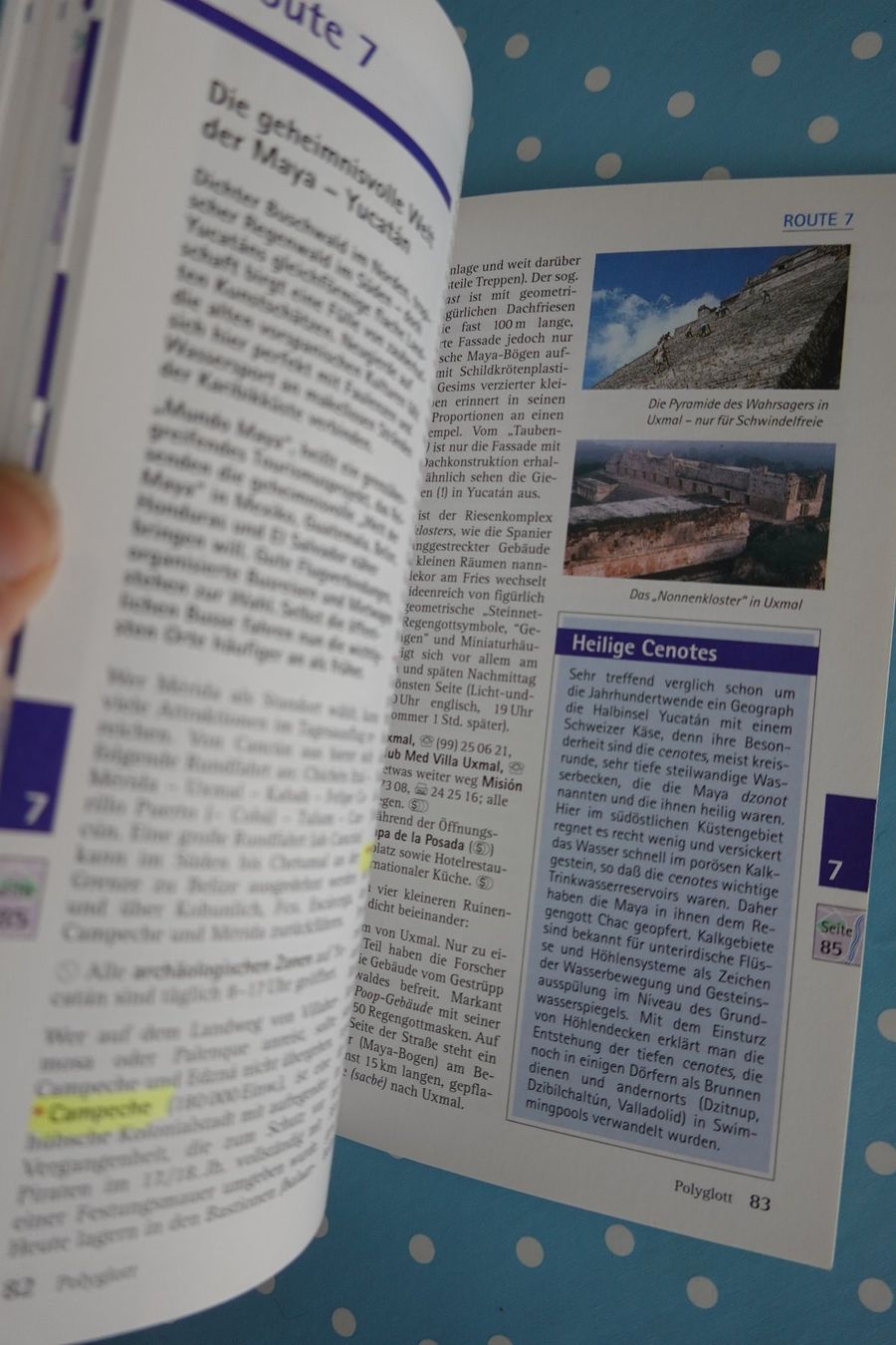 Libri: handlicher Reiseführer Mexiko - Polyglott - Reisen – Usato da Jona venduto da JOberg_25 4