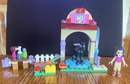 Lego Friends Pferde Waschplatz / Nr. 41123