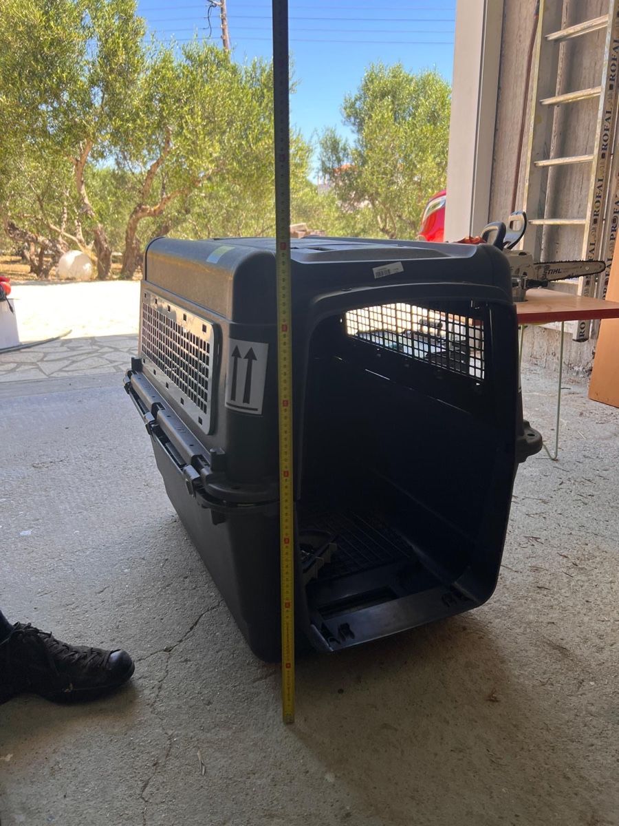 Käfige, Transport & Sicherheit: Hundebox Transportbox Grösse L – Gebraucht aus Landquart von James_duke 4
