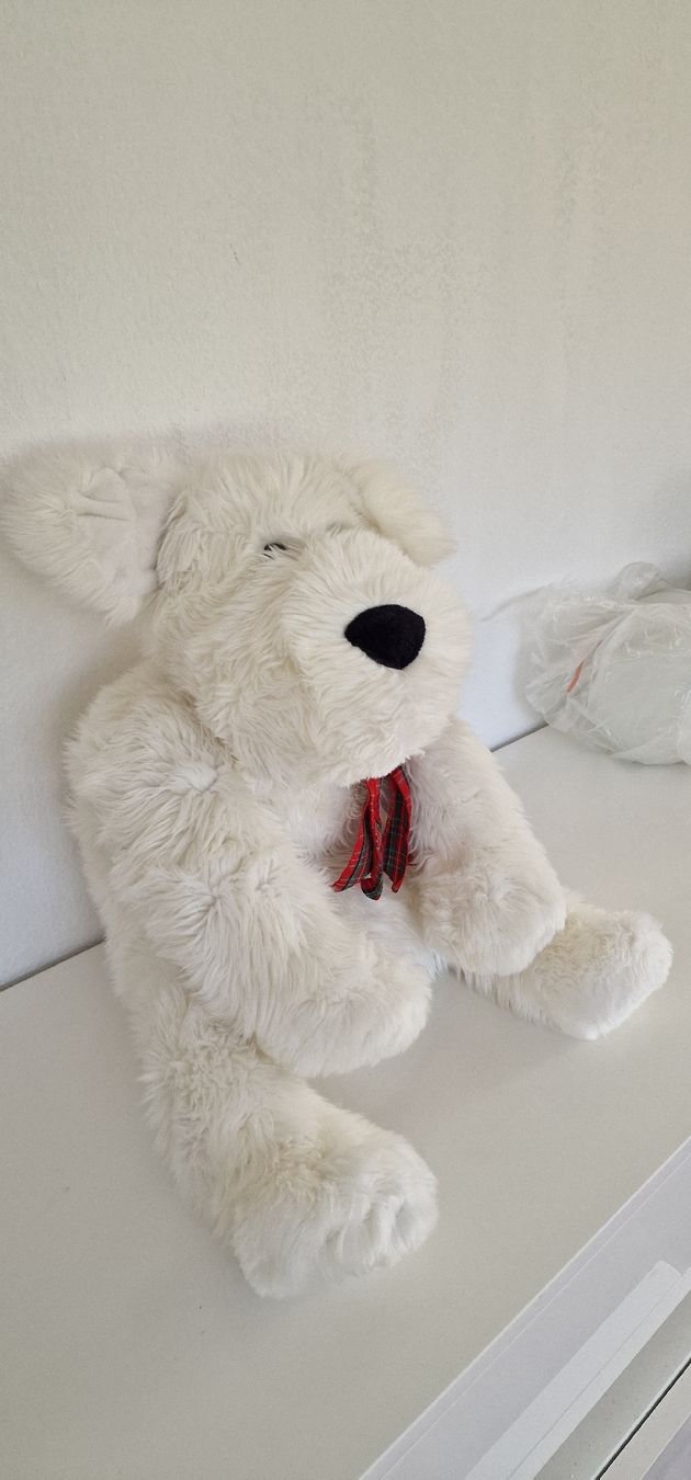 Bambole: Weicher Stoffhund – Usato da Zürich venduto da Abrar123 2