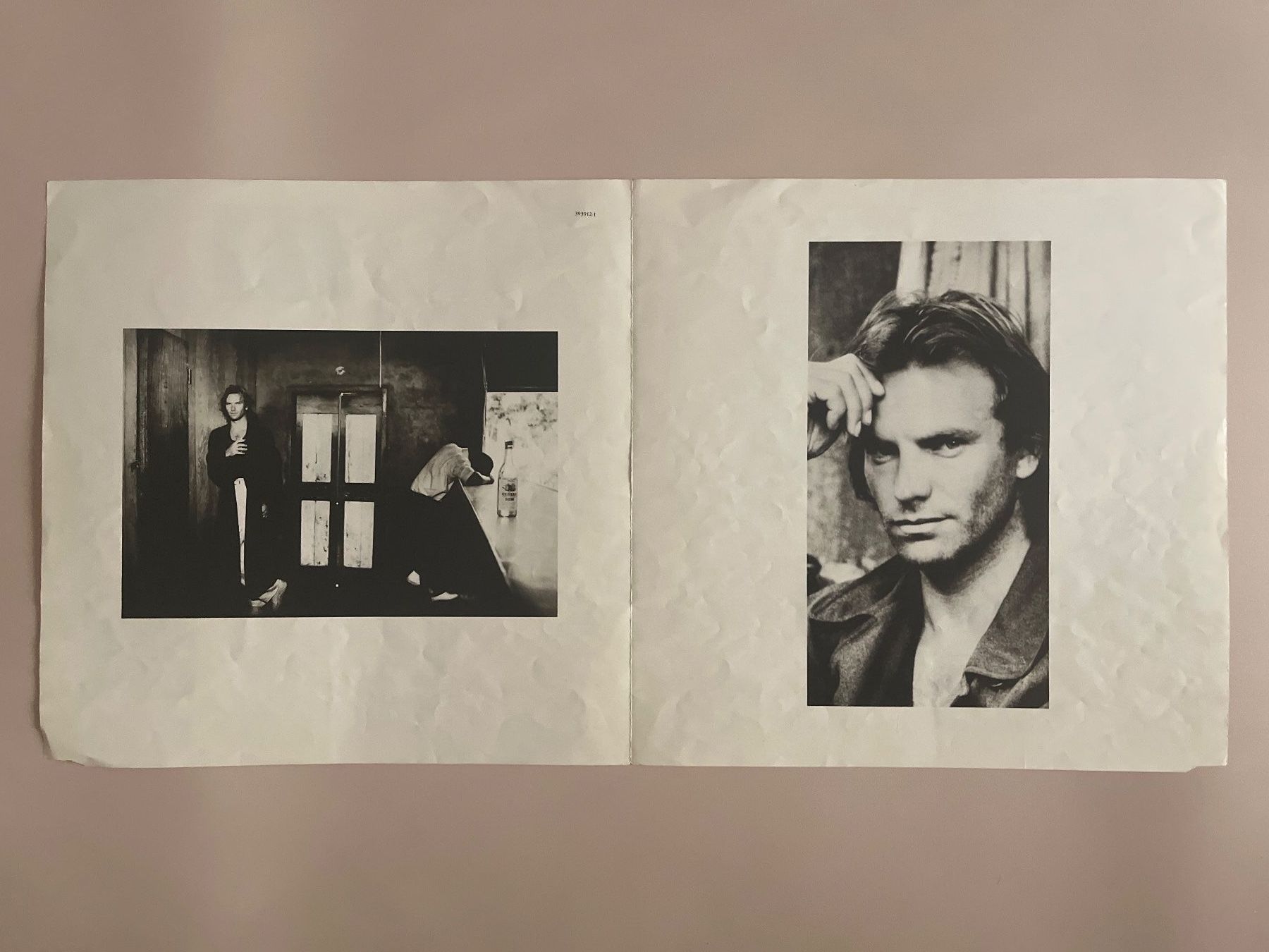 Schallplatten: Sting –  ...Nothing Like The Sun VG+/VG+ – Gebraucht aus Zürich von bkudrzycki 5