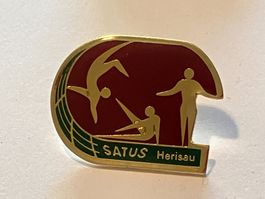 1 Pin Satus Herisau
