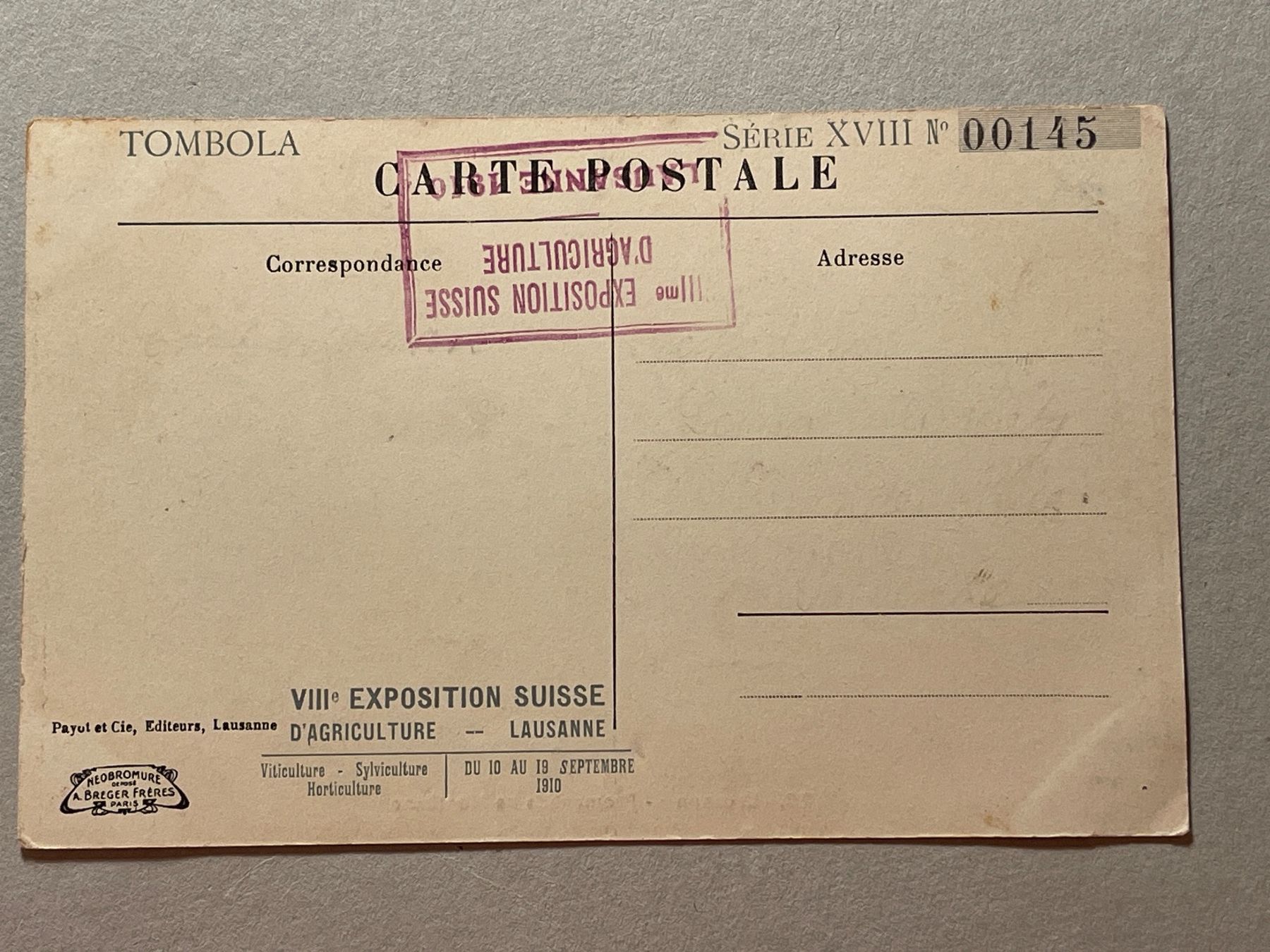 Cartoline postali: Promenade de Montbenon Lausanne – Usato da Strengelbach venduto da Aschatan5 1