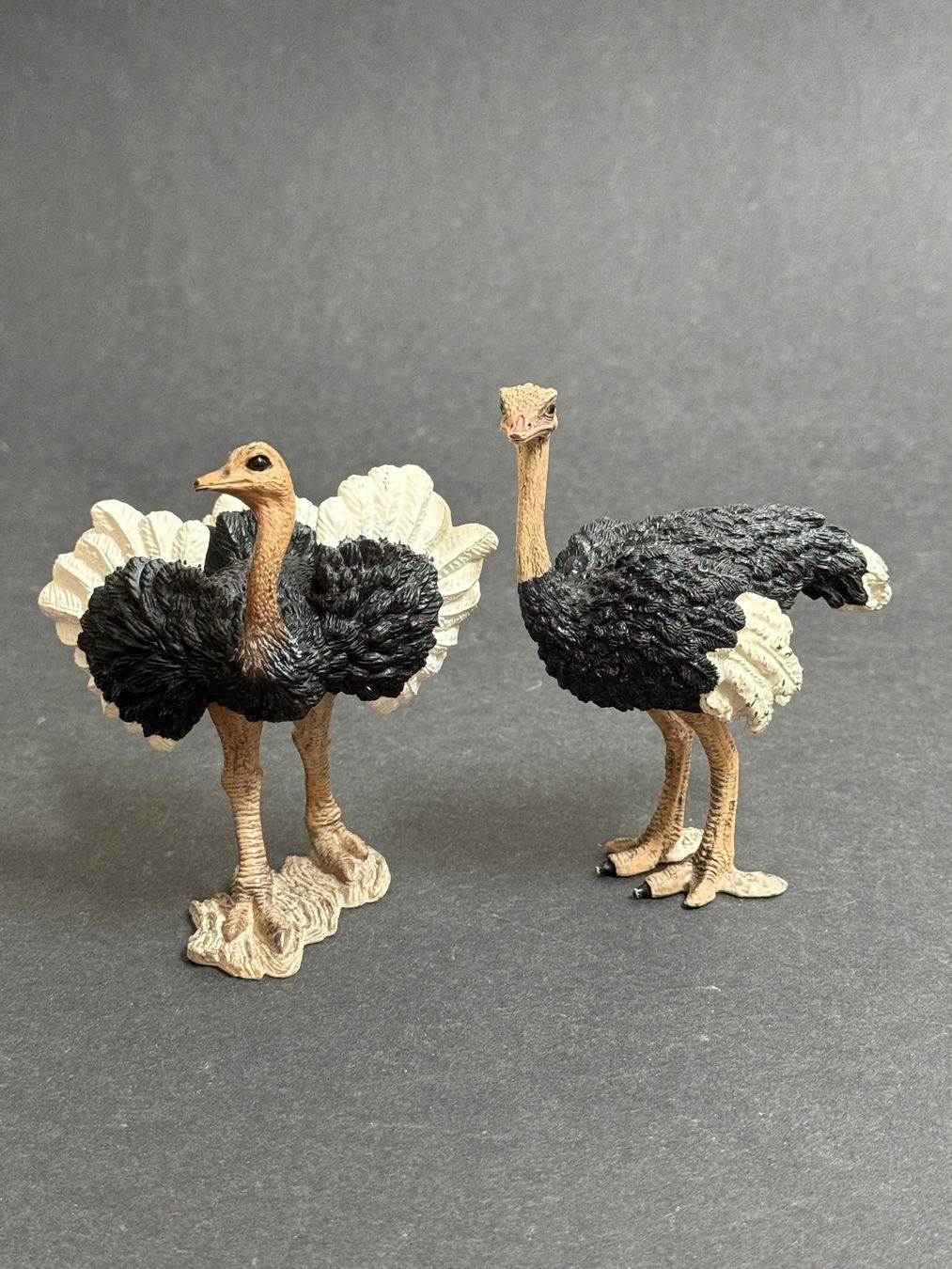 Schleich Statuette: Schleich Strauss Straussenmännchen – Usato da Ennetbaden venduto da mapa05