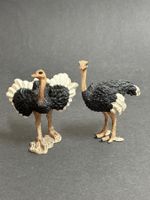 Schleich Strauss Straussenmännchen