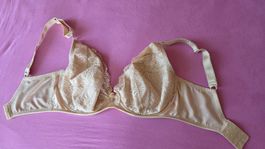 Ewa Michalak Bügel BH 75H