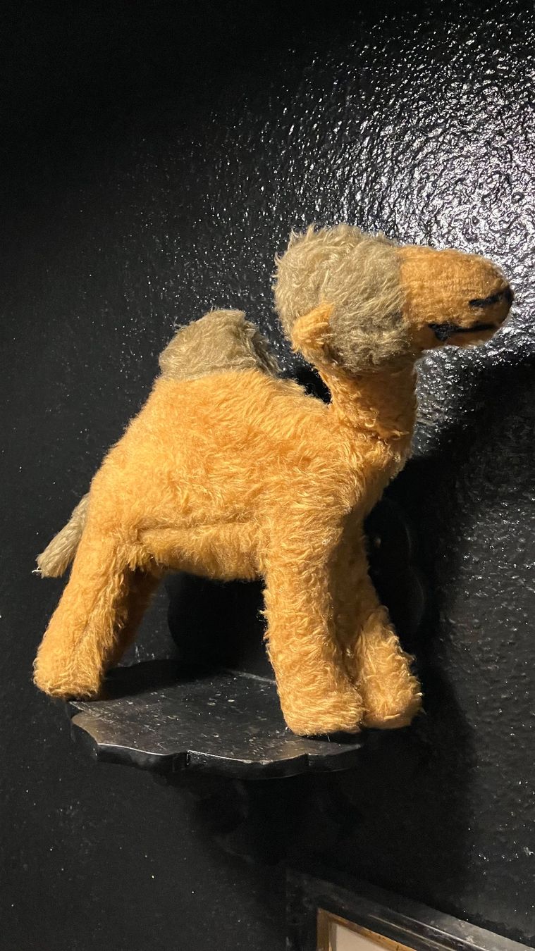 Steiff Giocattoli: Peluche ancienne Kamel Dromadaire Steiff (?) – Usato da St-Cierges venduto da LeRegain 1