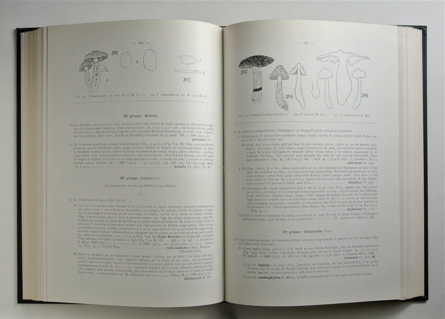Libri: Kühner, Robert. / Romagnesi, Henri. Flore analytique des – Usato da Erschwil venduto da taglang 1