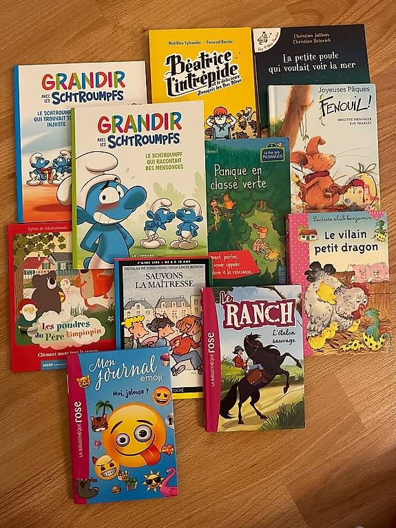 Libri: Lot de 11 livres divers en format "poche" – Usato da Yverdon-les-Bains venduto da mic_v8yx