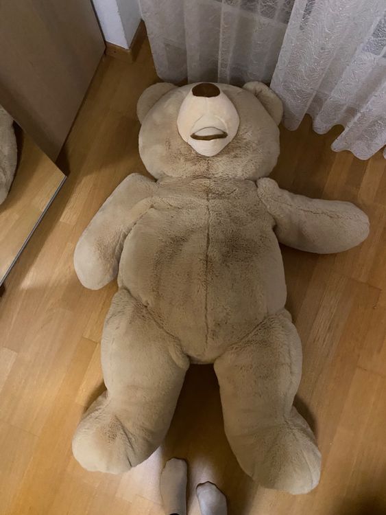 XXL Teddybär Kaufen auf Ricardo