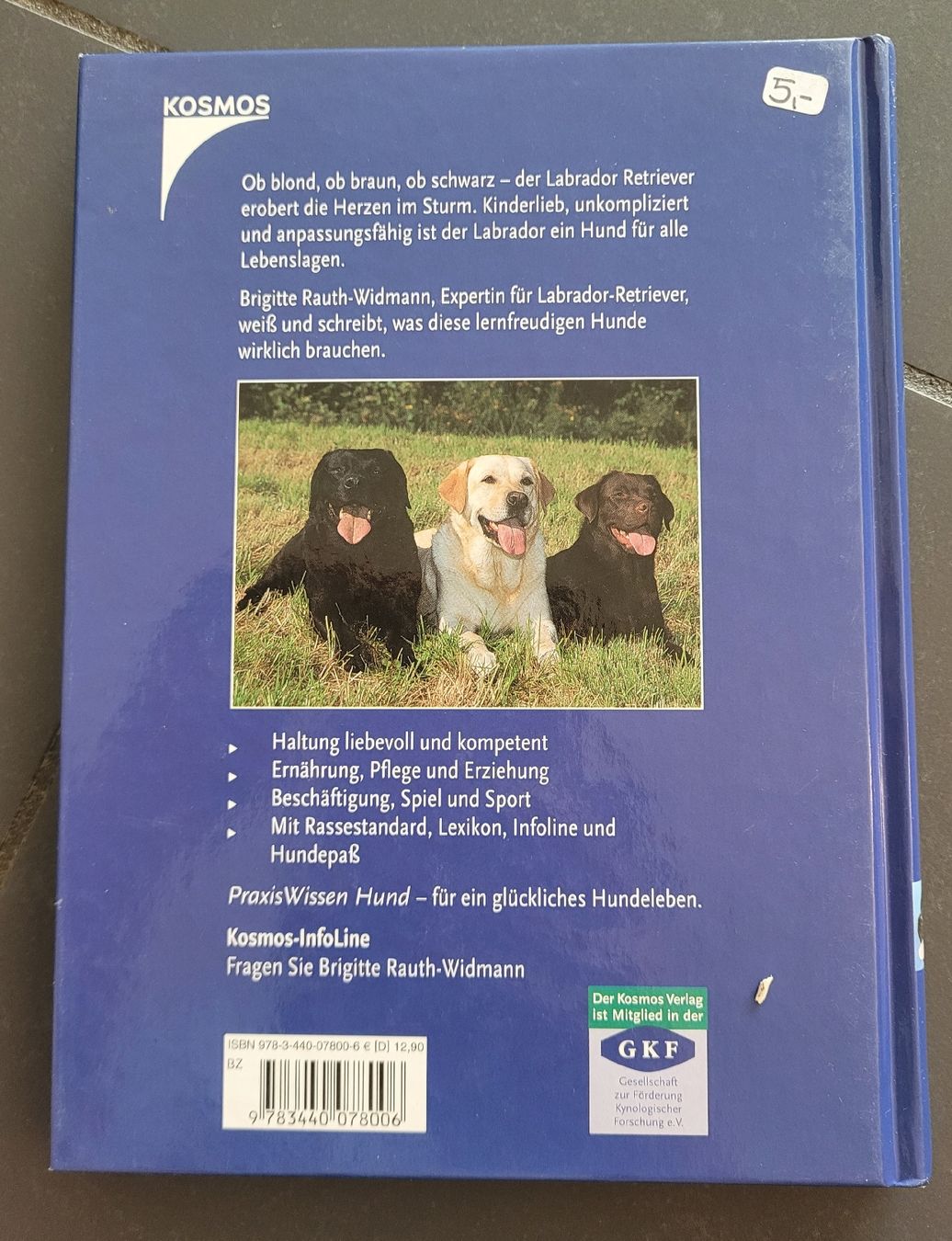 Libri: Buch Labrador Retriever  – Usato da Kappel SO venduto da Matschi86 1
