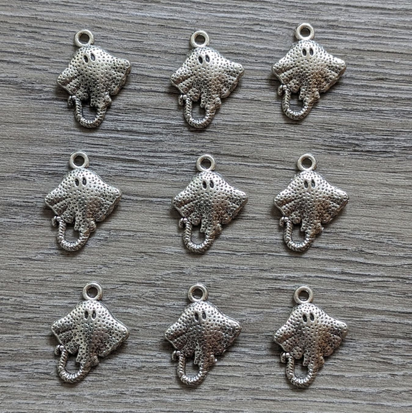 Ciondoli: 9 Charms Raie – Usato da Orsieres venduto da ind_cyg6