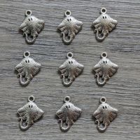 9 Charms Raie