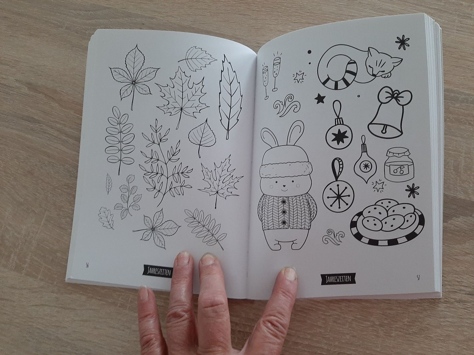 Libri: My Bullet Journal, 1500 Vorlagen, Abmalen oder Abpausen – Usato da Menziken venduto da Rien1 2
