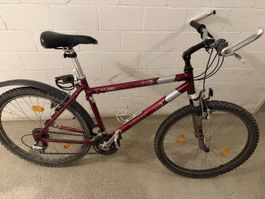 Mountainbike Bullok Road Runner, 26 Zoll