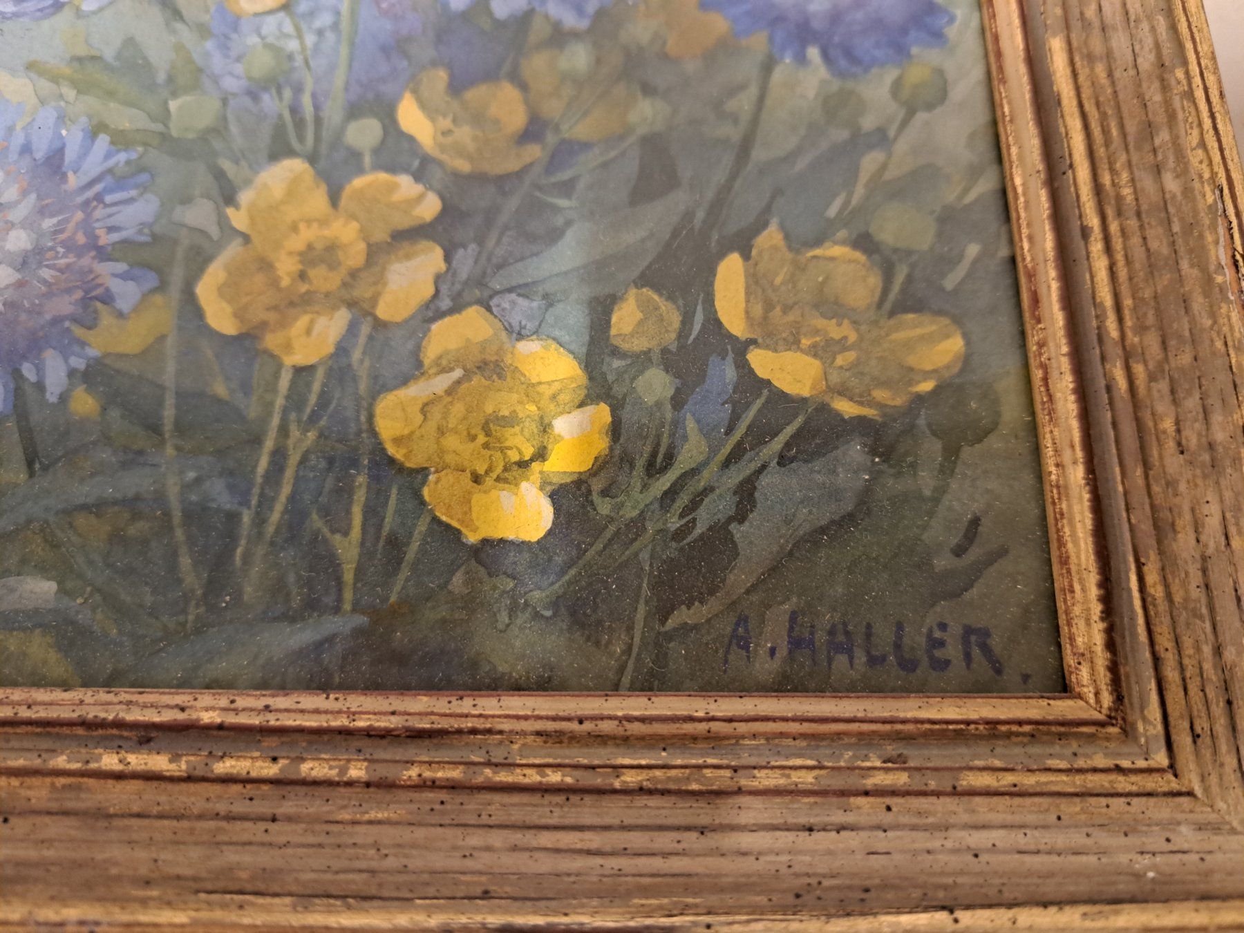 Foto & Immagini: 2x Blumenbilder signiert A. Haller – Usato da Belp venduto da deal-now 1