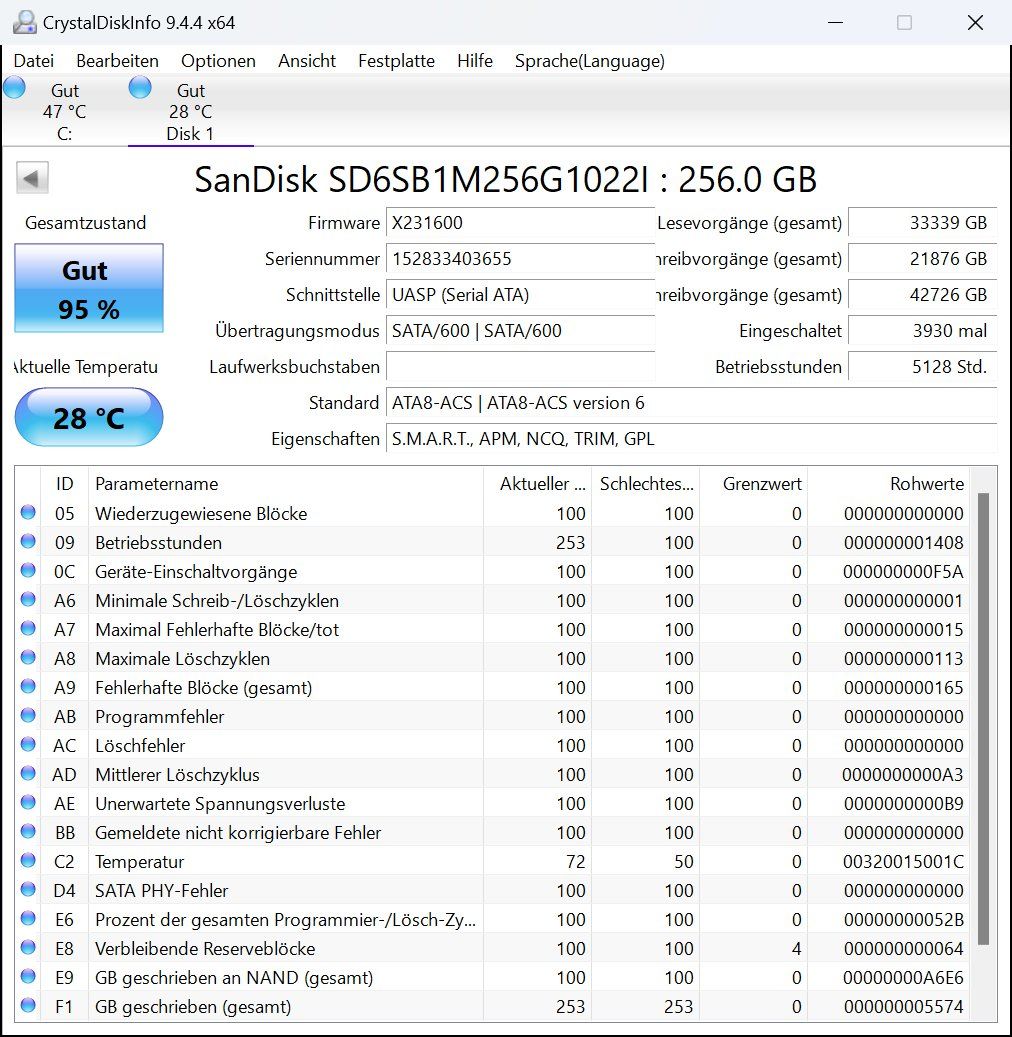 Sandisk Dischi rigidi: ScanDisk X110 SSD 256GB – Usato da Zürich venduto da HarlacherIT 2