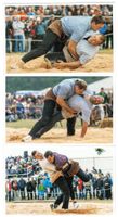 3 AK Oberaargauisches Schwingfest Seeberg-Grasswil 2015