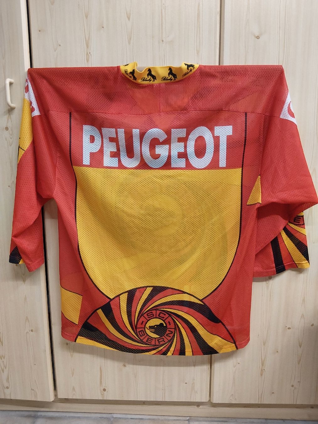 SC Bern Canottiere & Pantaloni: Fanshirt SC Bern – Usato da Weisslingen venduto da rbr_5df5 1