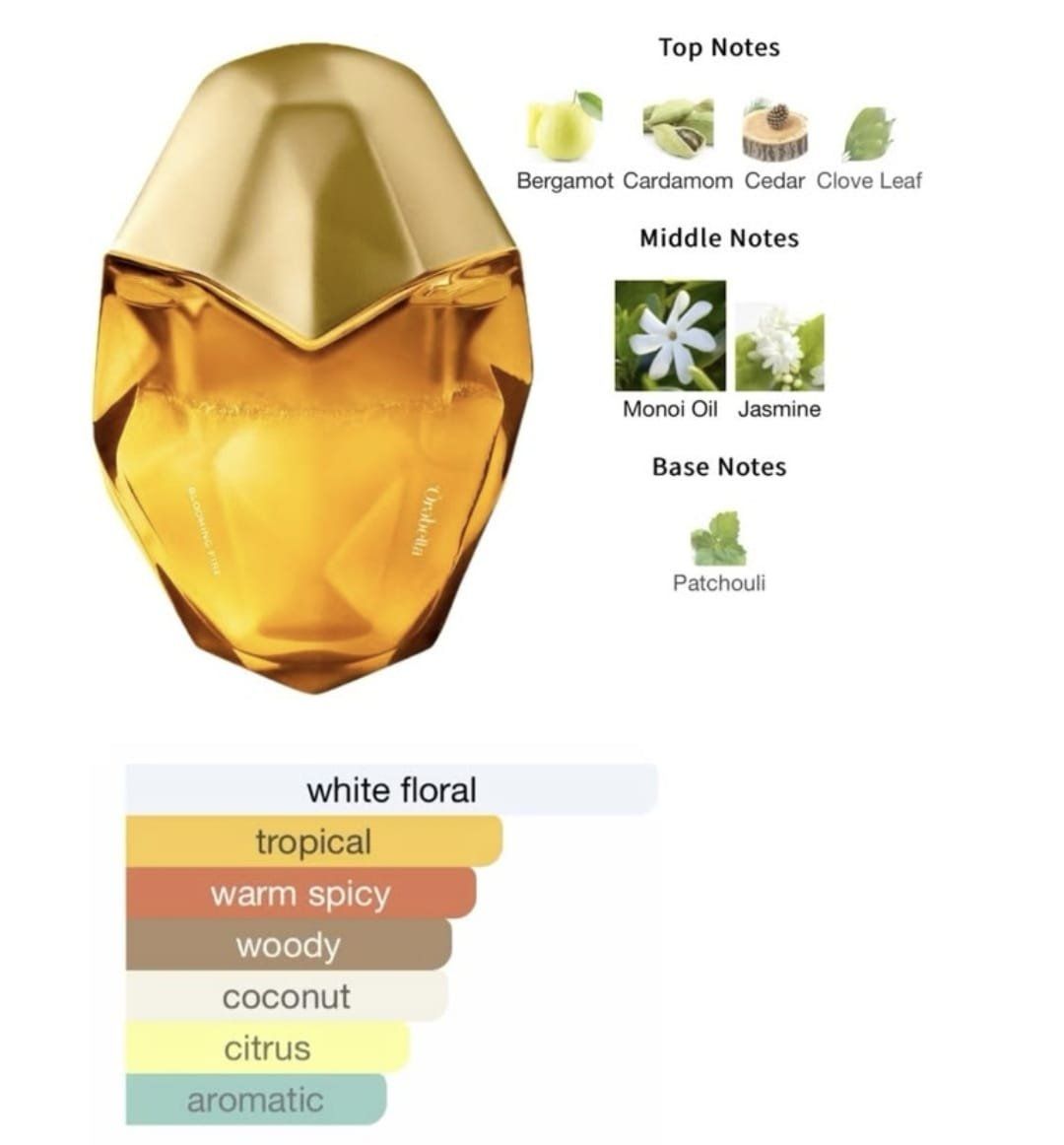 Profumi & Eau de Toilette: Orebella Blooming Fire Parfum 10ml – Usato da Mürren venduto da EvaLeonard 3